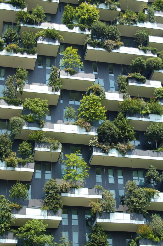 green building net zero