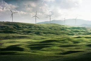 Wind turbines on the horizon - renewable energy - greenwashing